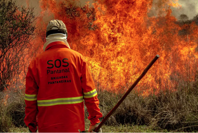 Com mais de 800 focos de incêndios, MT lança operação de combate no Pantanal Foto41384