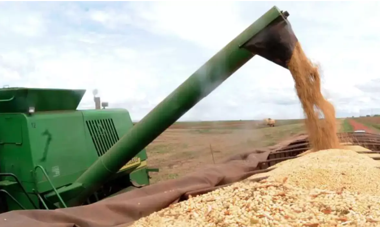 Plano Safra da Agricultura Familiar terá valor recorde em 2025/26, diz ministro Foto14611