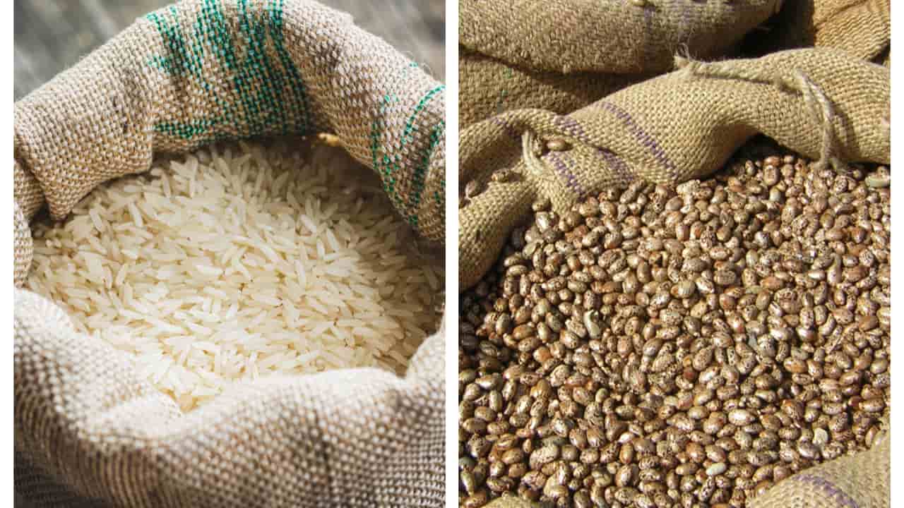 Consumo de arroz e feijão cai no Brasil e mudanças de hábito preocupam Foto71975