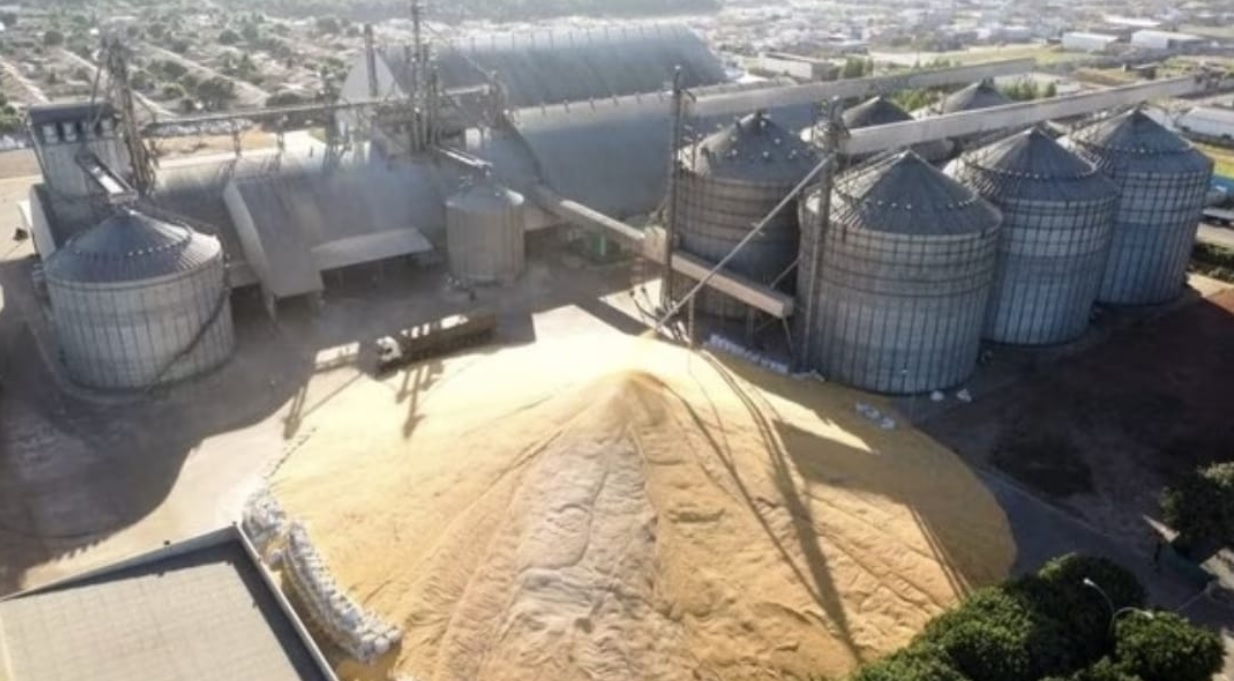 Armazenagem estagnada ameaça escoamento da safra de grãos Foto91098