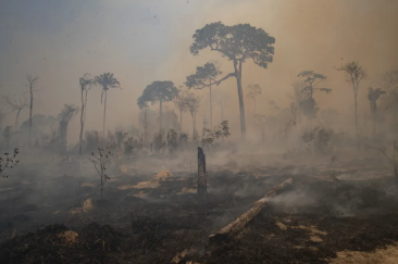 MT tem redução histórica de 88% nos focos de calor em 2025 Foto51639