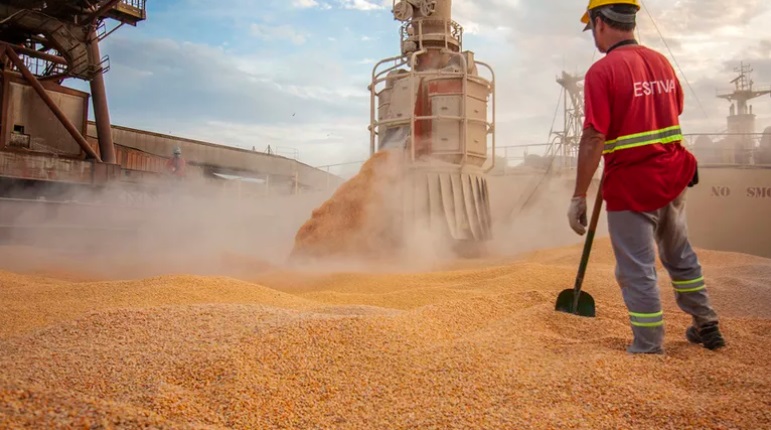 Paralisação nos EUA deixa mercado de soja "no escuro" e exige cautela do produtor brasileiro Foto58926