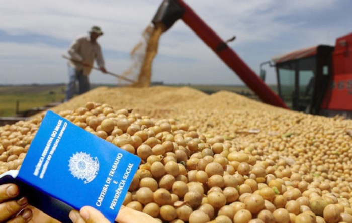 Biossoluções podem triplicar negócios no agro e criar 276 mil empregos Foto42990