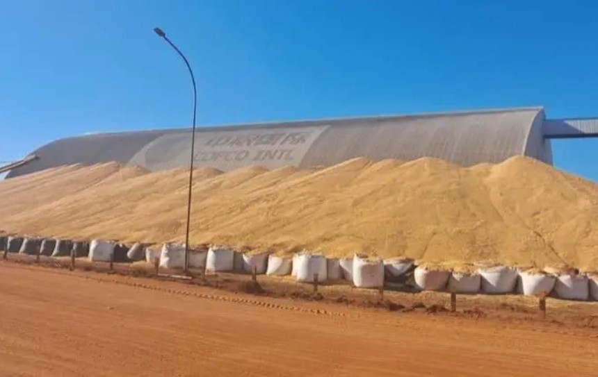 Supersafra histórica expõe gargalos logísticos e ameaça renda do produtor rural Foto57516