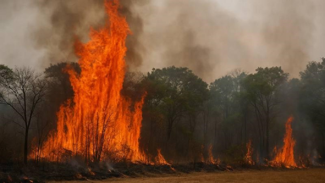 Mato Grosso encerra 2025 com o menor número de queimadas desde 1998 Foto3490