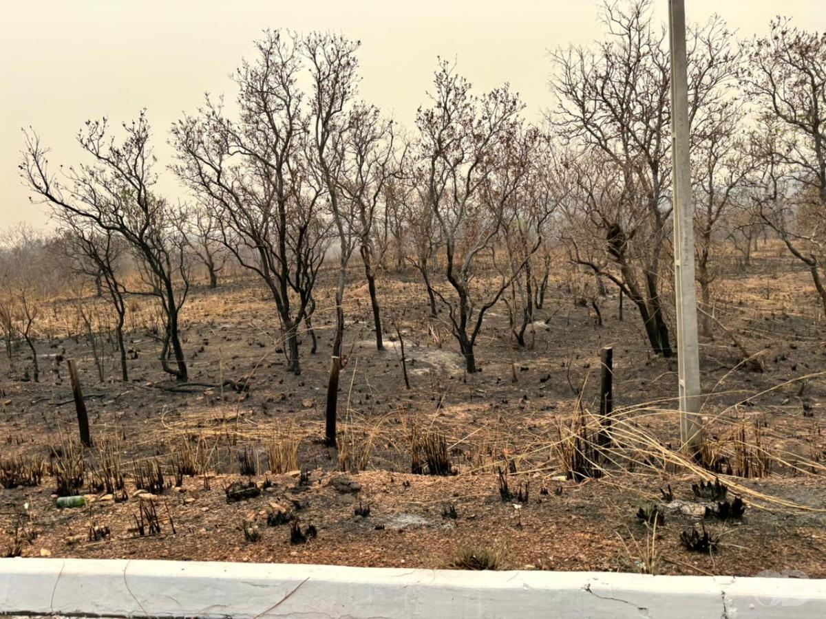 Brasil tem menor área queimada para janeiro dos dois últimos anos Foto88696