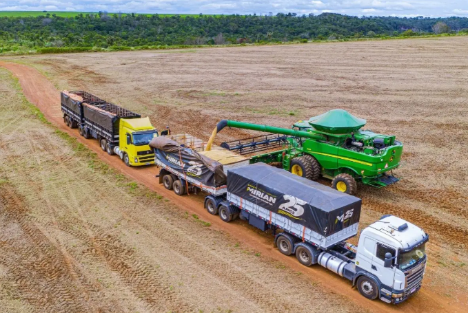 Excesso de chuvas trava colheita da soja e preocupa produtores em Mato Grosso Foto7048