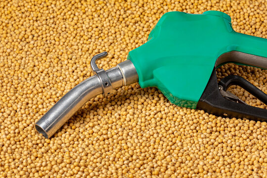 Alta e falta de diesel leva Governo a pedir investigação do Conselho de Defesa Econômica Foto90010