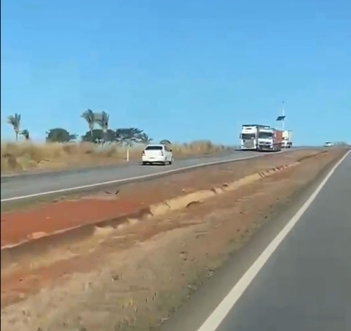 Dirigindo embriagado e pela contramão, motorista bate em carreta e é preso Foto96085