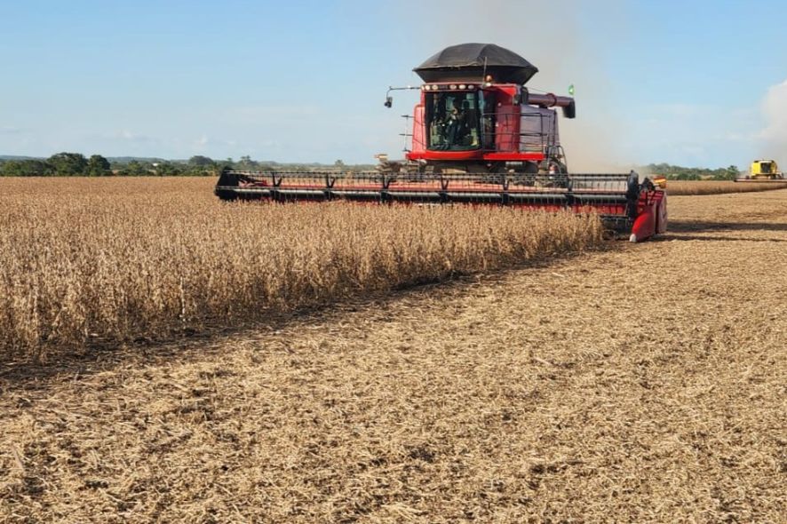El Niño pode atrasar plantio, reduzir safras e dificultar pecuária Foto54476
