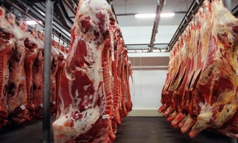 Exportação de carne cresce 29,6% e rende R$ 14,5 bilhões em 7 meses Foto3060