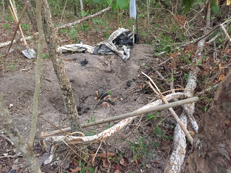 Investigação aponta dono de sítio como autor da morte de cunhados Foto96584