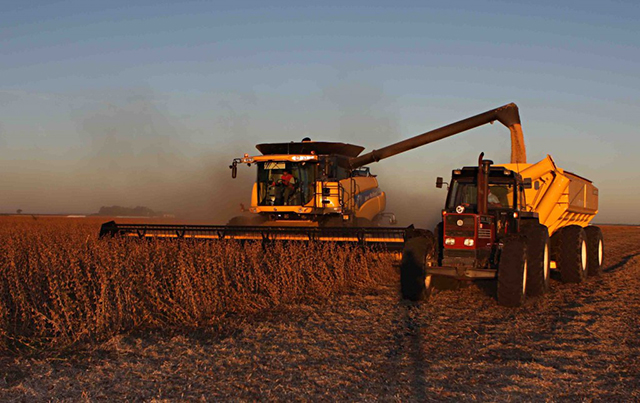 Produção agrícola cresce 8,1% em 2014 Foto49897