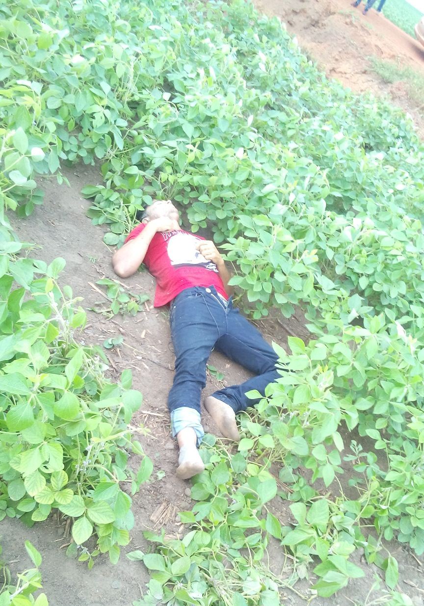 Funcionário de fazenda é encontro morto ás margens de estrada vicinal em Sorriso Foto61326