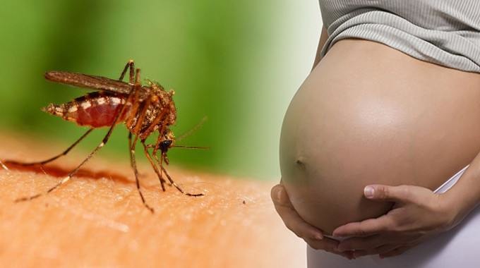 Juína registra 1º caso de zika em grávida Foto23840