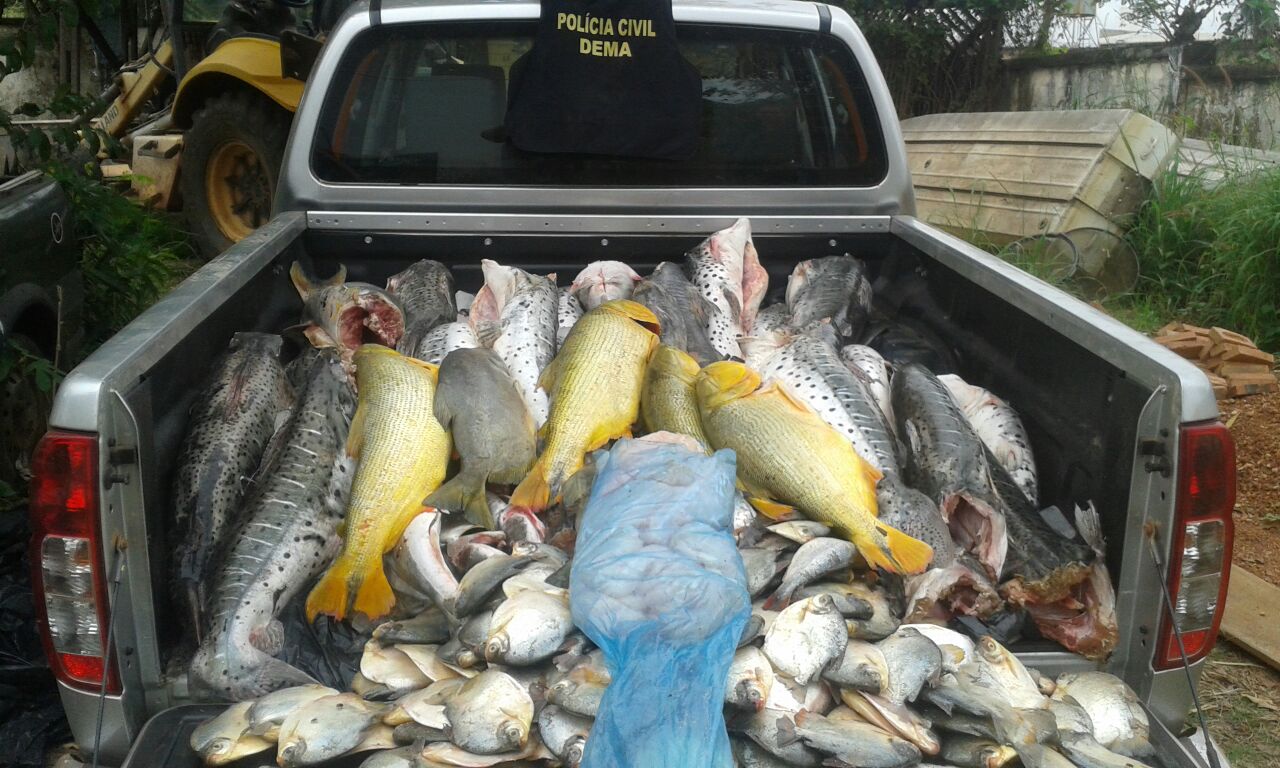 Polícia Civil apreende 437 quilos de pescado irregular Foto97251
