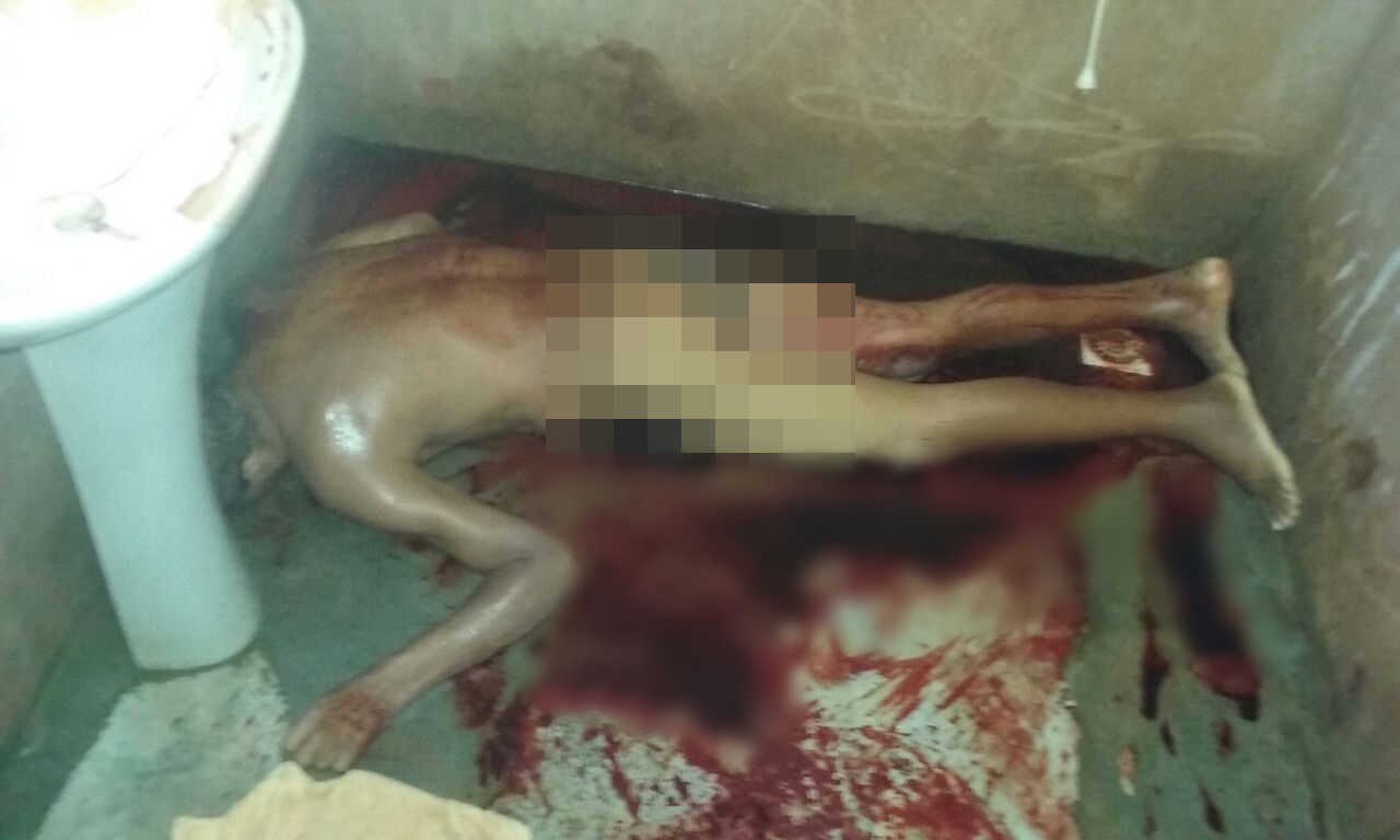 Comerciante é assassinado á facadas em distrito de Nova Ubiratã Foto81282