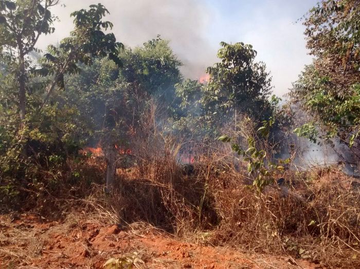 Produtor rural de Cláudia é preso em flagrante após atear fogo em vegetação Foto60108