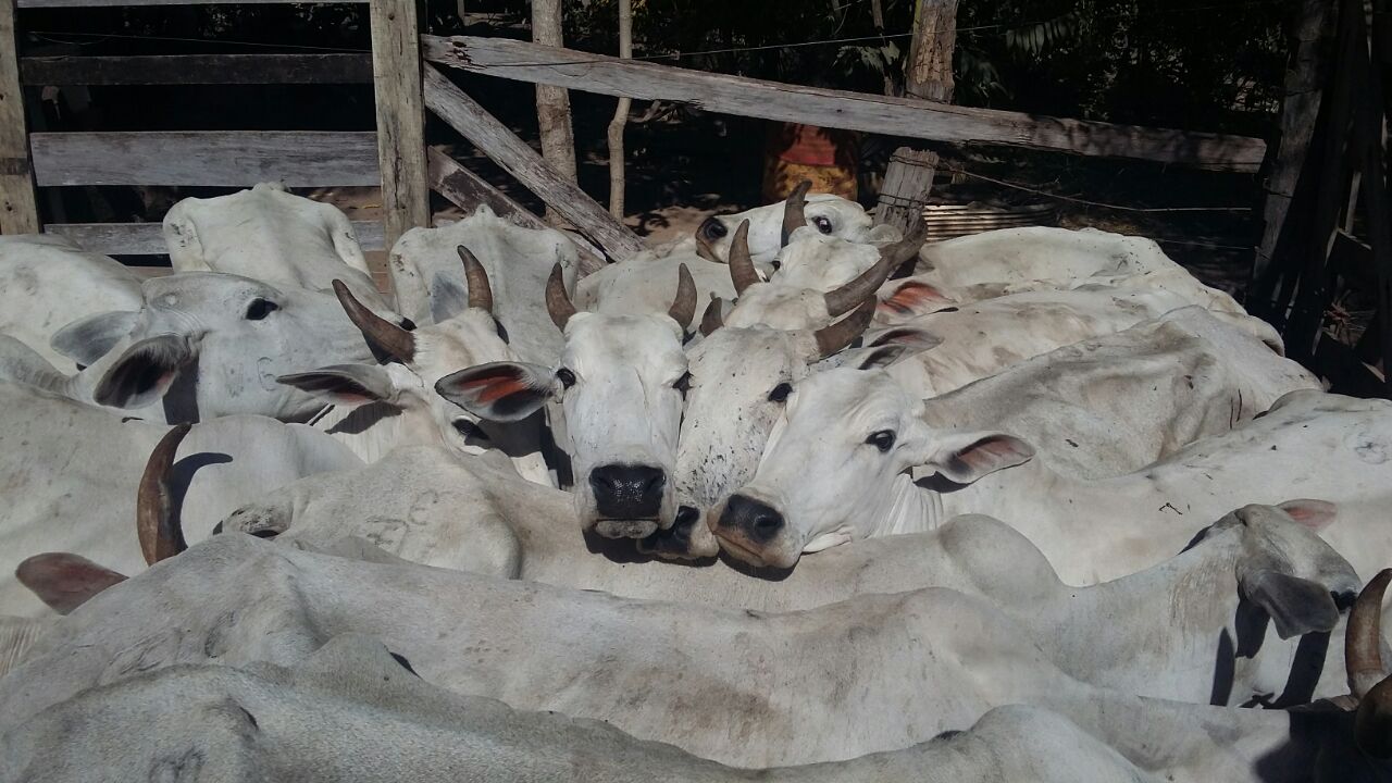 Foto82905