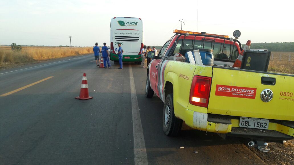 Colisão entre ônibus e veículo deixa uma pessoa ferida na BR-163 em Sorriso Foto11303