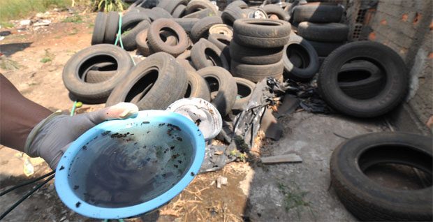 Continua alta a incidência de casos de dengue e zika Foto22485